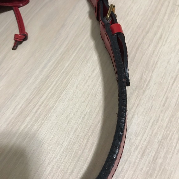 LV Epi Noe🌹 - Picture 14 of 15